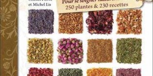 Les plantes : à consommer sans modération Les plantes : à consommer sans modération