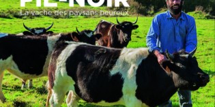 La vache des paysans heureux La vache des paysans heureux