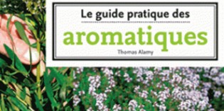 Guides pratiques Guides pratiques