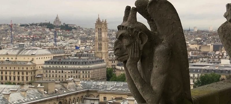 « Notre-Dame-de-Paris n’est pas une "cathédrale" » (Une étrange parole de Christophe  Castaner ?) Gargouille-800x360